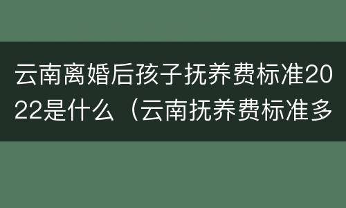 云南离婚后孩子抚养费标准2022是什么（云南抚养费标准多少钱一个月）