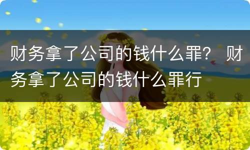 财务拿了公司的钱什么罪？ 财务拿了公司的钱什么罪行