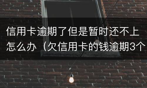 信用卡逾期了但是暂时还不上怎么办（欠信用卡的钱逾期3个月了还不上怎么办）