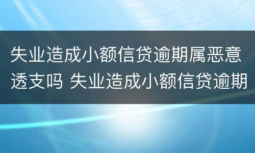 失业造成小额信贷逾期属恶意透支吗 失业造成小额信贷逾期属恶意透支吗为什么