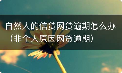 自然人的信贷网贷逾期怎么办（非个人原因网贷逾期）