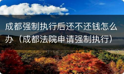成都强制执行后还不还钱怎么办（成都法院申请强制执行）
