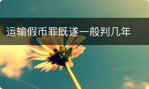 运输假币罪既遂一般判几年