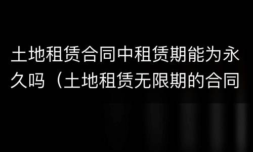 土地租赁合同中租赁期能为永久吗（土地租赁无限期的合同有效吗）