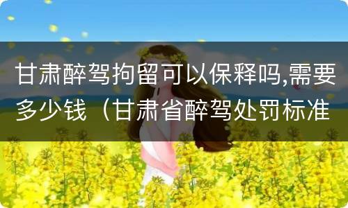 甘肃醉驾拘留可以保释吗,需要多少钱（甘肃省醉驾处罚标准解读意见）