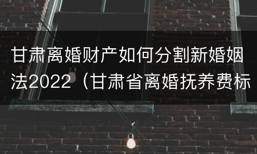 甘肃离婚财产如何分割新婚姻法2022（甘肃省离婚抚养费标准）