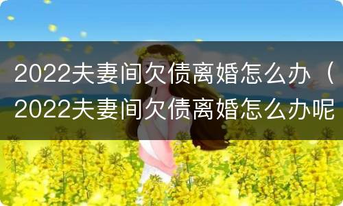 2022夫妻间欠债离婚怎么办（2022夫妻间欠债离婚怎么办呢）