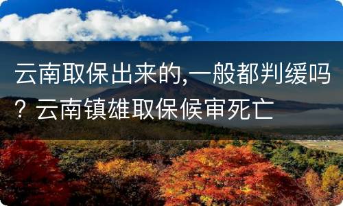 云南取保出来的,一般都判缓吗? 云南镇雄取保候审死亡