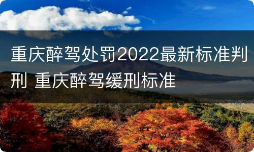 重庆醉驾处罚2022最新标准判刑 重庆醉驾缓刑标准
