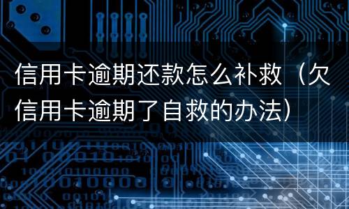 信用卡逾期还款怎么补救（欠信用卡逾期了自救的办法）