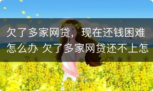 欠了多家网贷，现在还钱困难怎么办 欠了多家网贷还不上怎么办
