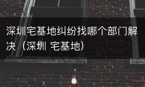 深圳宅基地纠纷找哪个部门解决（深圳 宅基地）