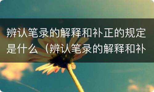 辨认笔录的解释和补正的规定是什么（辨认笔录的解释和补正的规定是什么）