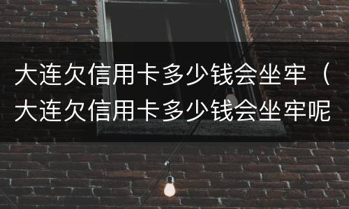 大连欠信用卡多少钱会坐牢（大连欠信用卡多少钱会坐牢呢）
