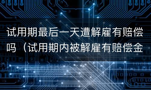 试用期最后一天遭解雇有赔偿吗（试用期内被解雇有赔偿金吗）