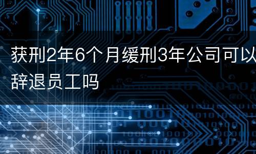 获刑2年6个月缓刑3年公司可以辞退员工吗