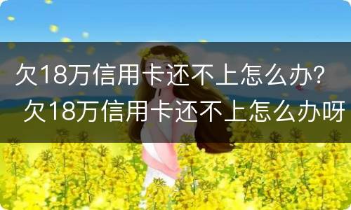 欠18万信用卡还不上怎么办？ 欠18万信用卡还不上怎么办呀