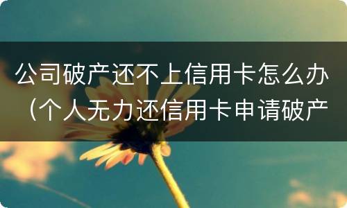 公司破产还不上信用卡怎么办（个人无力还信用卡申请破产）