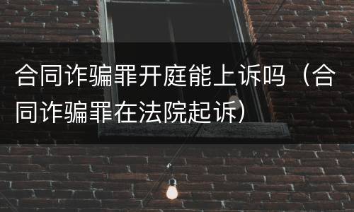 合同诈骗罪开庭能上诉吗（合同诈骗罪在法院起诉）