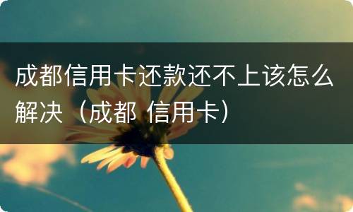 成都信用卡还款还不上该怎么解决（成都 信用卡）