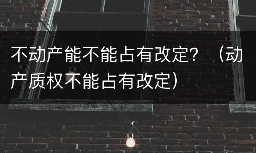 不动产能不能占有改定？（动产质权不能占有改定）