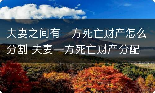 夫妻之间有一方死亡财产怎么分割 夫妻一方死亡财产分配