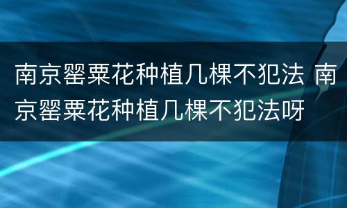 南京罂粟花种植几棵不犯法 南京罂粟花种植几棵不犯法呀