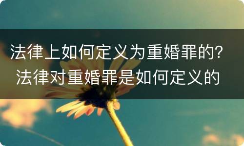 法律上如何定义为重婚罪的？ 法律对重婚罪是如何定义的
