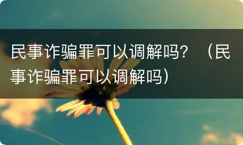 民事诈骗罪可以调解吗？（民事诈骗罪可以调解吗）