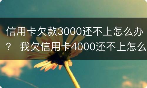 信用卡欠款3000还不上怎么办？ 我欠信用卡4000还不上怎么办?