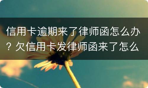 信用卡逾期来了律师函怎么办? 欠信用卡发律师函来了怎么办
