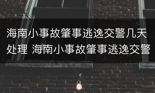 海南小事故肇事逃逸交警几天处理 海南小事故肇事逃逸交警几天处理完