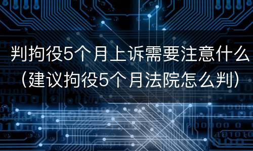 判拘役5个月上诉需要注意什么（建议拘役5个月法院怎么判）