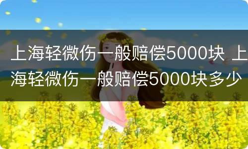 上海轻微伤一般赔偿5000块 上海轻微伤一般赔偿5000块多少