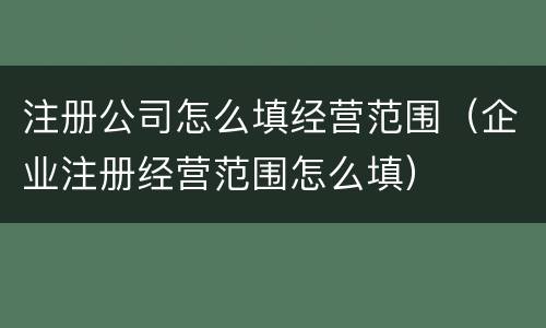注册公司怎么填经营范围（企业注册经营范围怎么填）