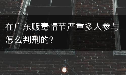 在广东贩毒情节严重多人参与怎么判刑的？
