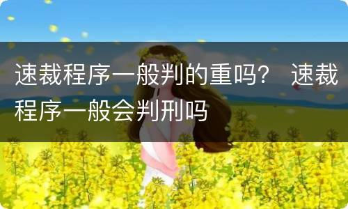 速裁程序一般判的重吗？ 速裁程序一般会判刑吗