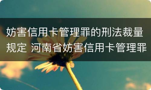 妨害信用卡管理罪的刑法裁量规定 河南省妨害信用卡管理罪量刑标准