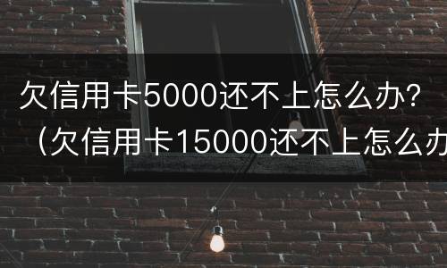 欠信用卡5000还不上怎么办？（欠信用卡15000还不上怎么办）