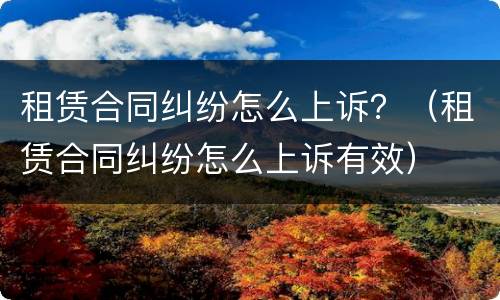 租赁合同纠纷怎么上诉？（租赁合同纠纷怎么上诉有效）