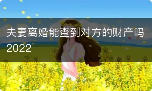 夫妻离婚能查到对方的财产吗2022