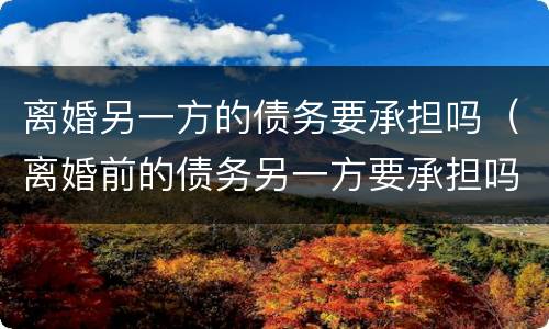 离婚另一方的债务要承担吗（离婚前的债务另一方要承担吗）