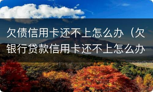 欠债信用卡还不上怎么办（欠银行贷款信用卡还不上怎么办）