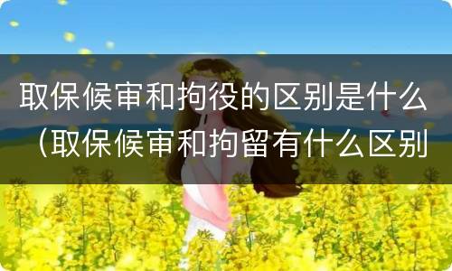 取保候审和拘役的区别是什么（取保候审和拘留有什么区别?）