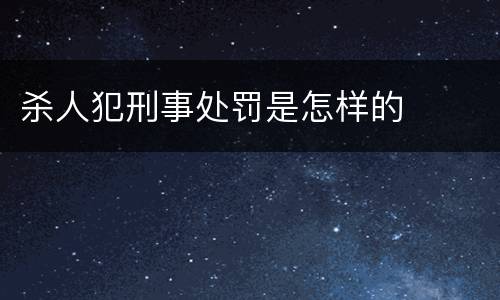杀人犯刑事处罚是怎样的