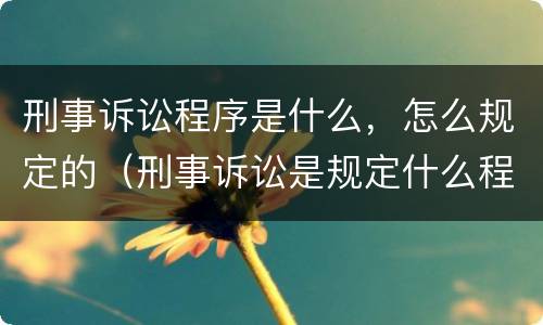 刑事诉讼程序是什么，怎么规定的（刑事诉讼是规定什么程序法）