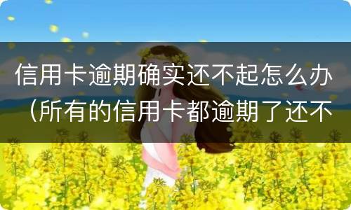 信用卡逾期确实还不起怎么办（所有的信用卡都逾期了还不上,怎么办）