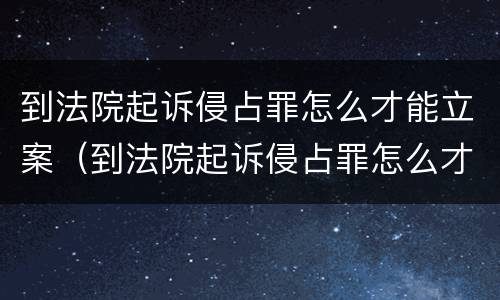 到法院起诉侵占罪怎么才能立案（到法院起诉侵占罪怎么才能立案成功）