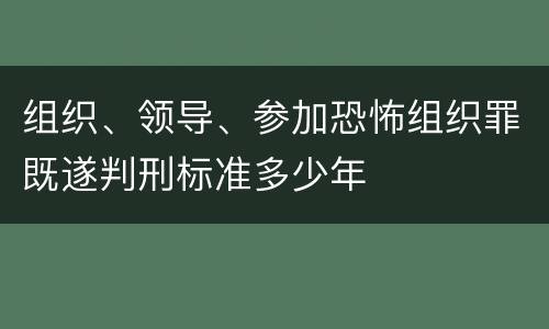 组织、领导、参加恐怖组织罪既遂判刑标准多少年