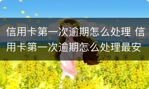 信用卡第一次逾期怎么处理 信用卡第一次逾期怎么处理最安全
